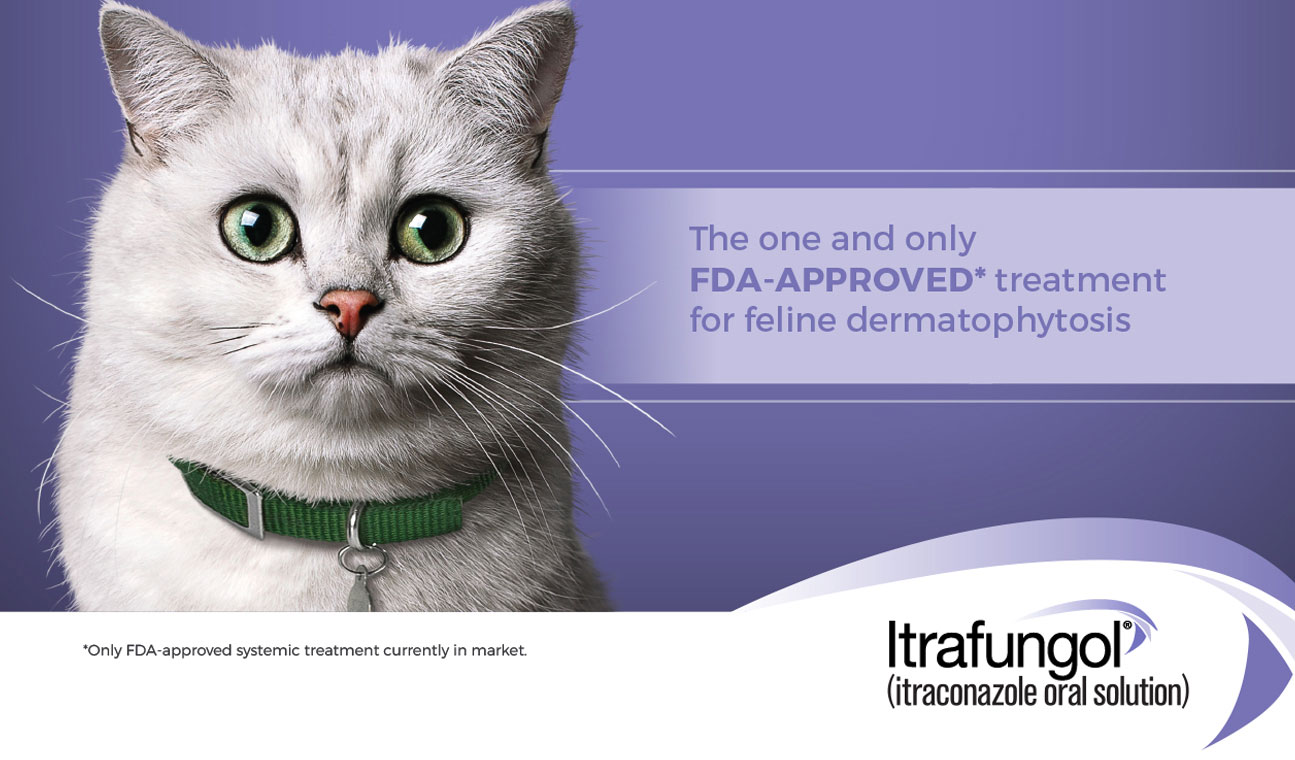 ITRAFUNGOL itraconazole oral solution for Cats